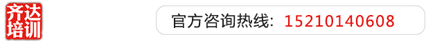 狠狠操操齐达艺考文化课-艺术生文化课,艺术类文化课,艺考生文化课logo